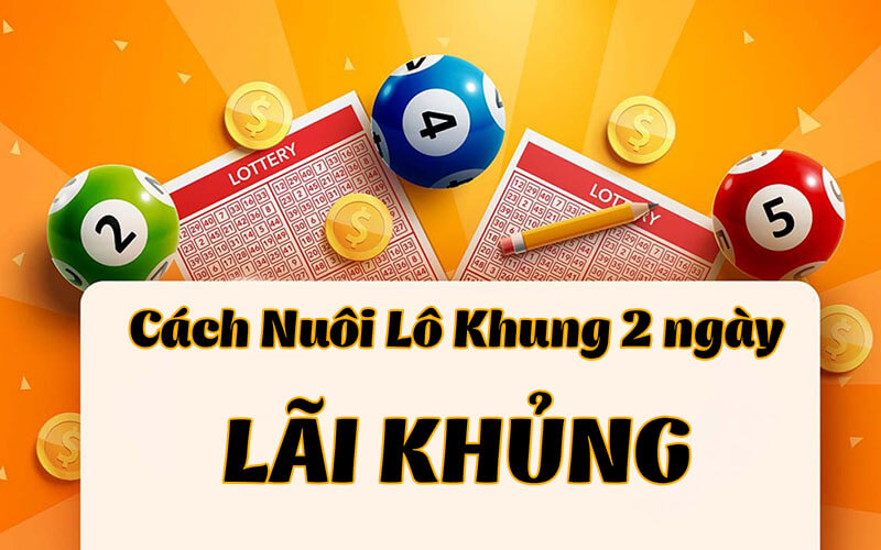 Gợi Ý Các Cách Nuôi Khung Miền Bắc Hiệu Quả Nhất Hiện Nay